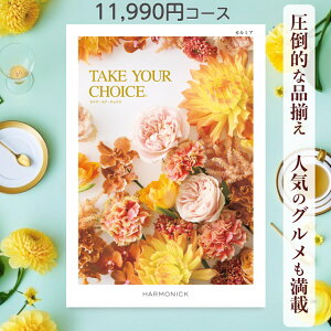 y|Cg20{z J^OMtg eCNA`CX  n[jbN J~A 11,990~R[X Mtg O oY j Ԃ Mtg ԂMtg O oYj j o