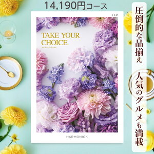 y|Cg20{z J^OMtg eCNA`CX  n[jbN ~U 14,190~R[X Mtg O oY j Ԃ Mtg ԂMtg O oYj j oY