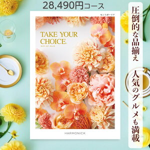 y|Cg20{z J^OMtg eCNA`CX  n[jbN Zg|[A 28,490~R[X Mtg O oY j Ԃ Mtg ԂMtg O oYj 