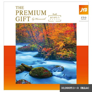 ̃J^OMtgJTB肪Ƃv~A 33,990JTOR[X