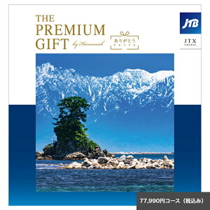 ̃J^OMtgJTB肪Ƃv~A 77,990JTXR[X