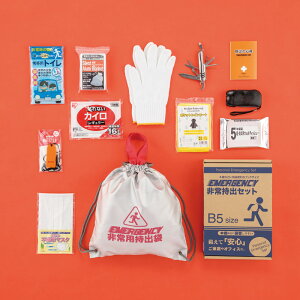 ��펝�o12�_�Z�b�g FSR-DF�l�C �������� ���S�p�i �h�Зp�i �h�ЃO�b�Y ��������̏��i�́A���[�J�[����шϑ��q�ɂ���̔����ł��B