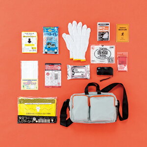 �G�}�[�W�F���V�[�o�b�O13�_�Z�b�g ESH-FA�l�C �������� ���S�p�i �h�Зp�i �h�ЃO�b�Y ��������̏��i�́A���[�J�[����шϑ��q�ɂ���̔����ł��B