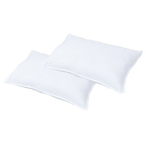 マイクロファイバー枕2個組(枕パッド付) 24-MF-25-2-2P人気 おすすめ インテリア ファブリック 雑貨 ※こちらの商品は、メーカーおよび委託倉庫からの発送です。