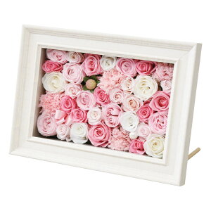 vUAWt[ H18-566PlC  CeA G m ̏íA[J[шϑqɂ̔łB