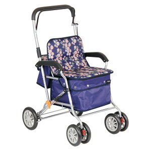 eCRu{NXg SIST02-NVlC  pi ̏íA[J[шϑqɂ̔łB