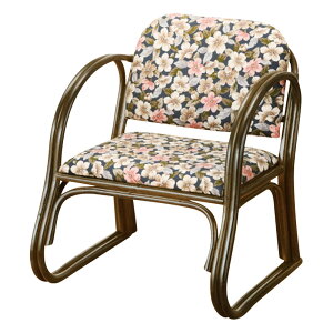 يyX֗֎q R4S212BlC  CeA G a ̏íA[J[шϑqɂ̔łB