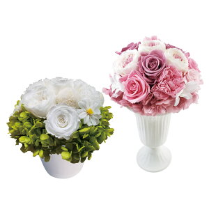 �v���U�[�u�h�t�����[L�Z�b�g T-R500P�l�C �������� �K�[�f�� �K�[�f�j���O ��������̏��i�́A���[�J�[����шϑ��q�ɂ���̔����ł��B