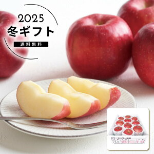 Ε XYx14xۏ؃Tӂ2.5kglC  Hi t[c ʕ _Y [J[шϑqɂ̔łB