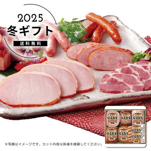 Ε ɓn`MtgZbglC  Hi  Hi n \[Z[W [Xgr[t n ē [J[шϑqɂ̔łB