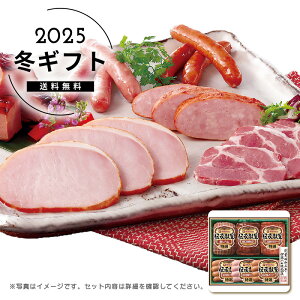 Ε ɓn`MtgZbglC  Hi  Hi n \[Z[W [Xgr[t n ē [J[шϑqɂ̔łB