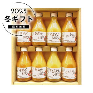 Ε ɓ_100sAW[XllC  hN \tghN W[X [J[шϑqɂ̔łB