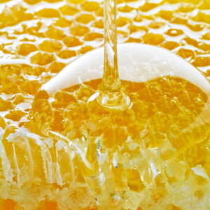 R~co`^񂾉Ԗg100VRYB݂̂͂