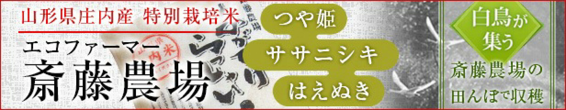 齋藤農場特別栽培米つや姫・ササニシキ・はえぬき・こひとめぼれ