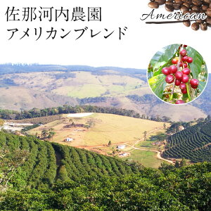 ߉͓_ AJuhR[q[ p [100g