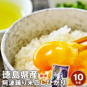 ߘa7NY@YRVqJyz gx 10kgi5kg×2܁j/ kCAyї͕ʓr܂