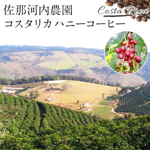 ���߉͓��_�� �R�X�^���J �R�[�q�[ 300g �����ō��@������E�����͕ʓr�ǉ�����