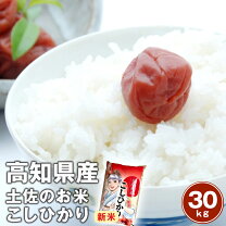 楽天市場】コシヒカリ 30kg 高知県の通販