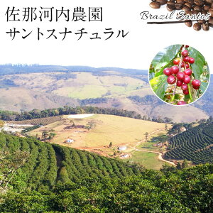 ߉͓_ TgX i` p [100g