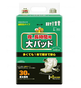 (z) }[  ԗppbhNXCN p 30×8(P[X)  AƂ AR pbh jp p
