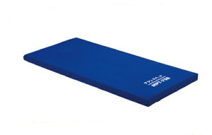 (tXxbh) h~}bgX MPT-75B }bgz_[ EhJo[^Cv France BeD