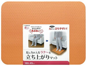 (TR[) オ}bg 45cm×60cm ׂ~