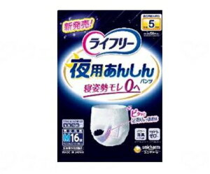 (jE`[) Ct[p񂵂pc 5M 16×4܁iP[Xj   ނ