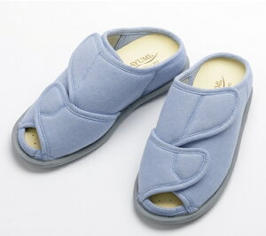 (Y)  I[vtBbg TCYM`3L ̓TCY3E`5E(W`) 2237  V[Y C   jp j  Y fB[X ނ hV̓ ̓ ̓