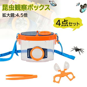 ώ@{bNX ̏WLbg 4_Zbg gώ@P[X  甠  wN w sZbg g勾 2.6{ 4.5{ TLbg  j̎q ̎q ċx q O R