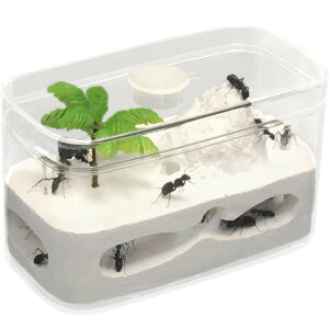 ALbg ΍p Aώ@Lbg A AZbg ঒ގP[X Ȃώ@Lbg apP[X Zbg ώ@ ċx wKp 