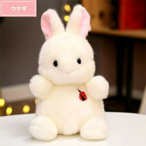 ʂ  ߋ  Aj}킢 邩 q a NX}X v[g 20cm p_ qR  yM Lcl nXL[ u^