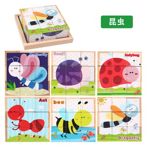 L[upY 3D̃pY ؐ ςݖ q mߋ  蕨 Cm `킹 ؂̂ j̎q ̎q  Ԃ xr[ oYj ۈ牀 av[g gݗ 