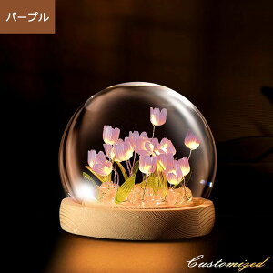 CeA iCg Cg  `[bv fXNCg LED v[g  ͋Cς X^hCg ドCg I k KN a v[g (sN) NX}Xv