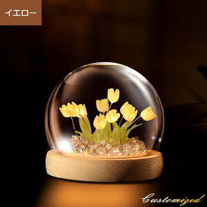 CeA iCg Cg  `[bv fXNCg LED v[g  ͋Cς X^hCg ドCg I k KN a v[g (sN) NX}Xv