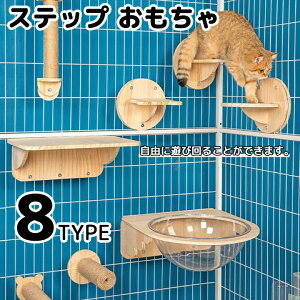 L P[Wp ܂Ƃ Xebv  XNb`[ ܂݂ FD Lp P[WnMOLbg LbgXebv NC~OVFtEH[}EgLbg KiLb