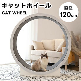 キャットホイール 猫 ランニングホイール キャットウォーク キャット 猫用回し車 ローラー 猫のトレッドミル 爪研ぎ キャットエクササイズホイール 静音 軽量 直径120cm 運動不足 ストレス解消 猫ランニングマシン 滑り防止マット付き