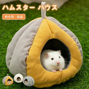 nX^[ X  nEX  h[^ ybg xbh   ڂ ӂӂ   Q g h H~ ~t ې  艺 h