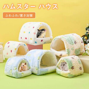 nX^[ nEX  Q nbN ~ ۉh X   g xbh ӂӂ  nlY~ bg IE nEX LbgnEX ybgxbh gxe P[