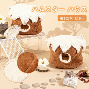 nX^[ ~ nEX nX^[nEX pnEX ybgnEX ybgpi X  IE ETM P[W  ۉ H~ 