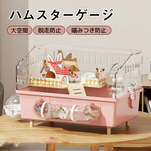 nX^[ P[W 傫 nX^[ Q[W  P[W nlY~ P[W ؂ȃnX^[P[W AN̓ȃybg甠 S[fxAp LXy[X O\ȃA