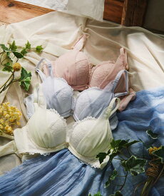 【northerly】【northerly bra フィットシリーズ 楽盛りフィット】　楽盛りチュールベール　ブラジャー単品　Iカップ