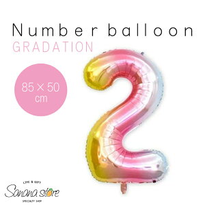 io[ o[ LL o[Xf[ 1 n[to[Xf[ D a j  K[h p[eB[ xr[V[ LO TvCY gradation Of Of[V߂