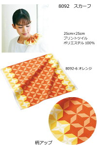 8092@POp@~jXJ[t@nlNg[@ {@yАSanapparelzs