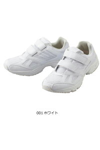 59708@dV[Y@22.0cm`290.cm@i[XV[Y@ACgXyАSanapparelz