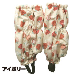 @̎q@Xm[Jo[rJ@Jo[@tbgJo[@悯Jo[@234832