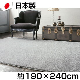 【クーポンで6000円引き】 日本製 ソフトタッチ シャギー ラグ 約190×240cm 防炎 防ダニ 抗菌基布使用 ジェイド ジュータン カーペット 無地 北欧風