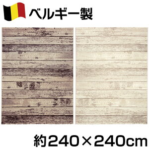 xM[ ؖڒ fUC EBgD J[ybg 240×240cm 4.5 |vs100 fE W[^ O _ Vv i`