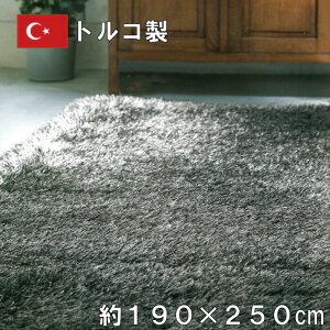 gR nCpC |GXe100 EBgDJ[ybg 190×250cm I[ W[^ O VM[ n