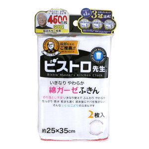 rXg搶 ӂ z Lb`NX H@ɂ 100 usgp 唻TCY ȃK[[ӂ 2 Tx