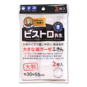rXg搶 ӂ z 100 usgp 唻TCY 傫ȖȃK[[ӂ 2 Tx
